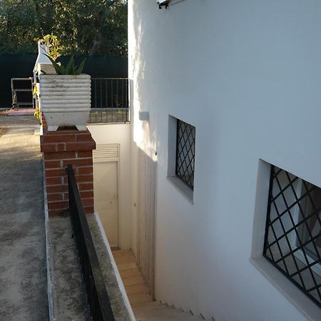 Olive&Sea Villa-Sea Mattinata Ngoại thất bức ảnh