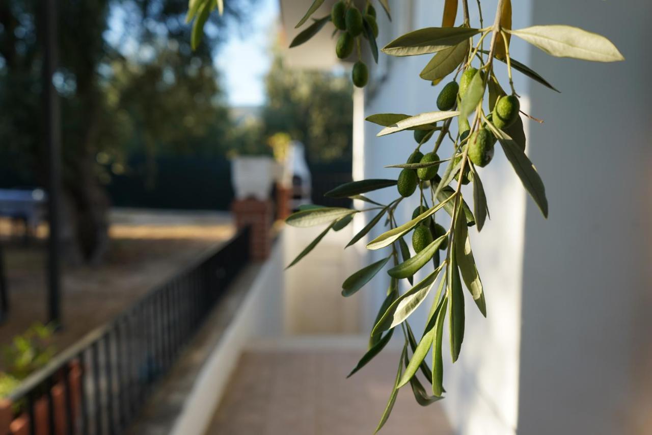 Olive&Sea Villa-Sea Mattinata Ngoại thất bức ảnh